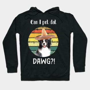 can i pet dat dawg?! Sunshine vintage design Hoodie